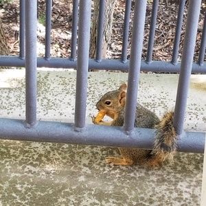 Meet your Posher, Jerilyn